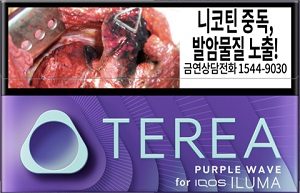 테리아 퍼플 웨이브 45mm 20개입